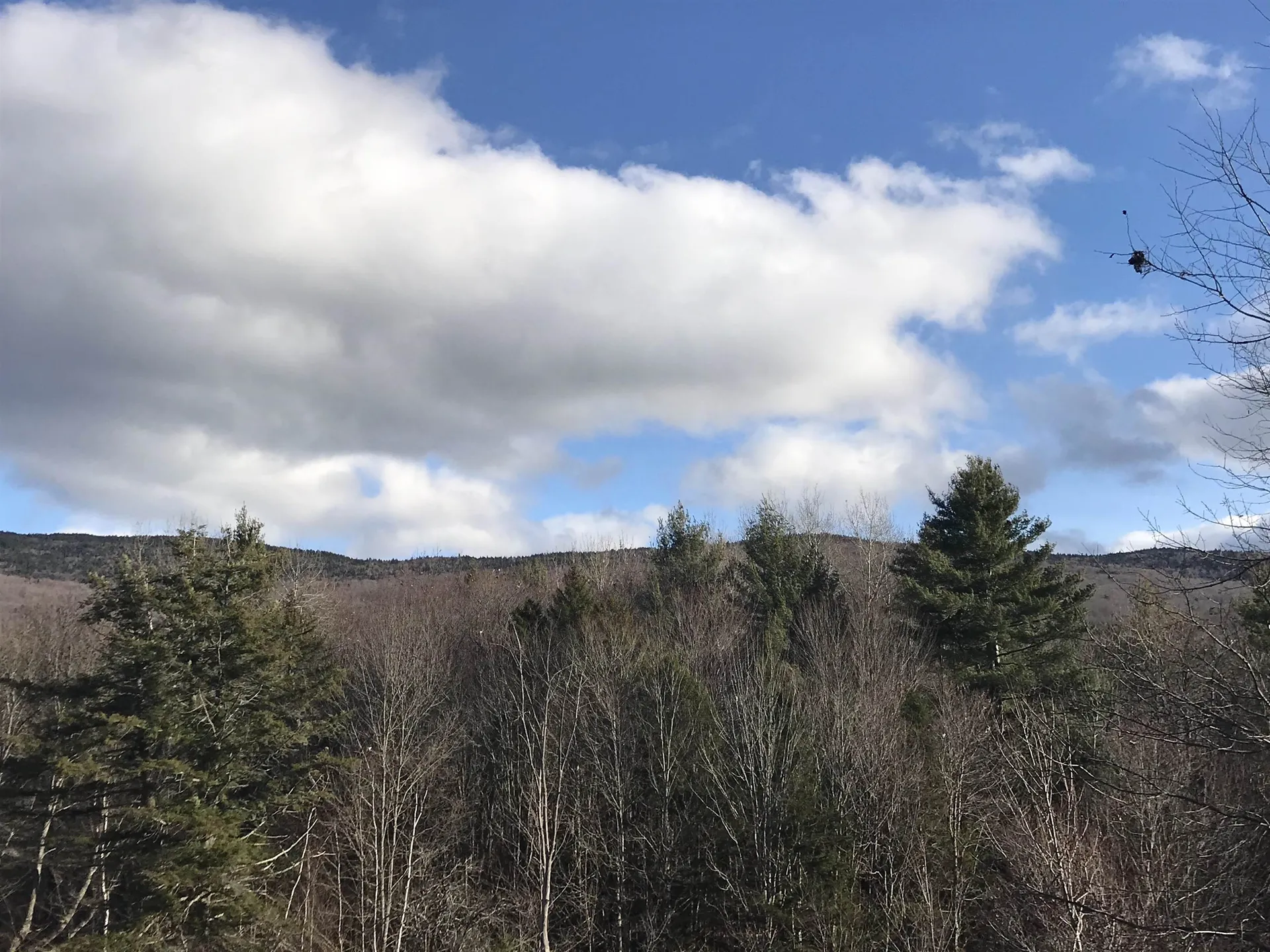 3003 East Warren Road Waitsfield VT 05673