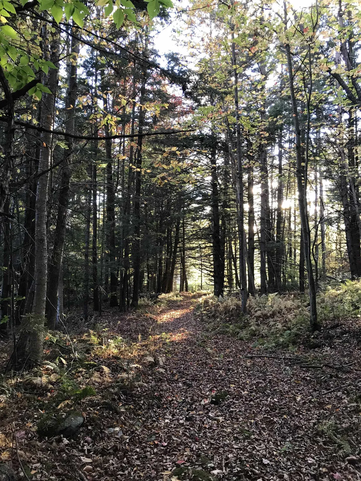 3003 East Warren Road Waitsfield VT 05673