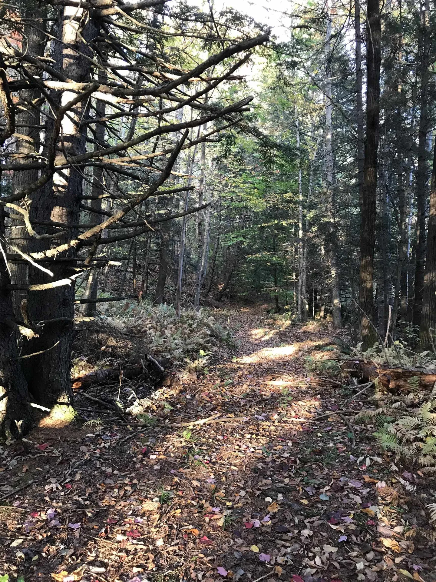 3003 East Warren Road Waitsfield VT 05673