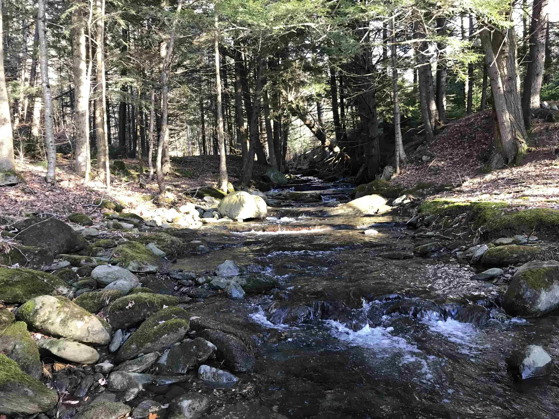 3003 East Warren Road Waitsfield VT 05673