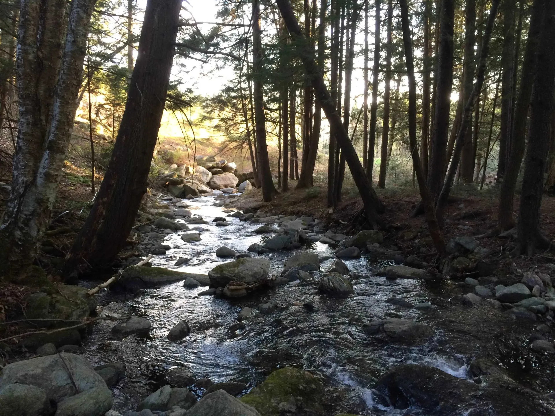 3003 East Warren Road Waitsfield VT 05673