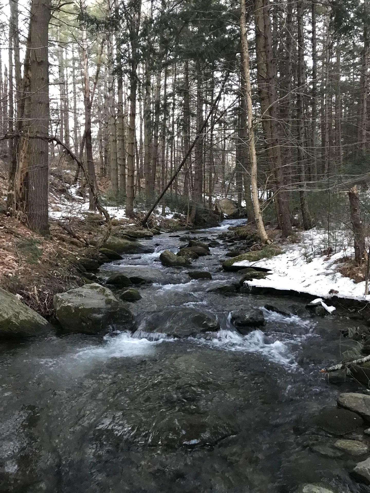 3003 East Warren Road Waitsfield VT 05673