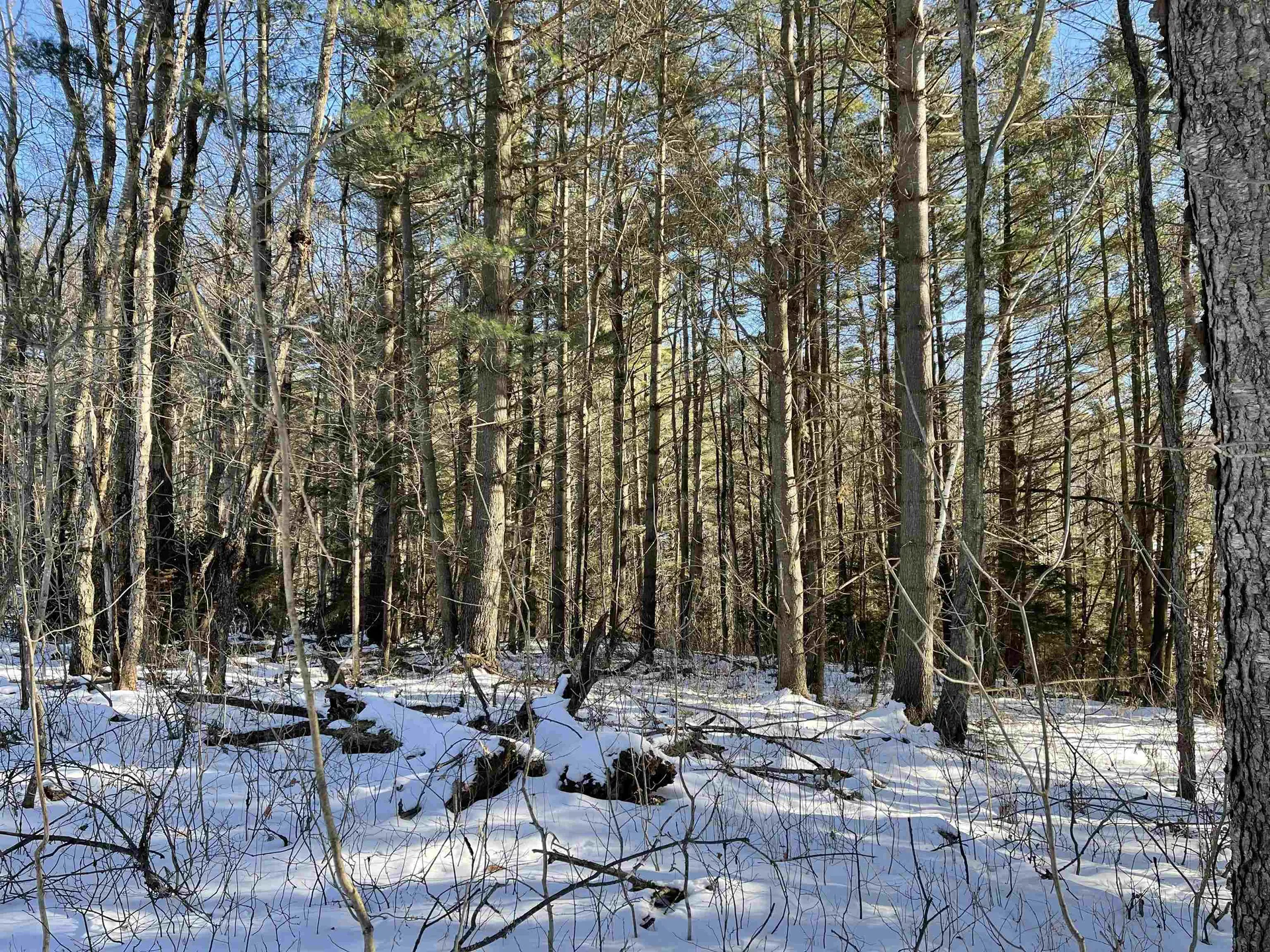 3003 East Warren Road Waitsfield VT 05673