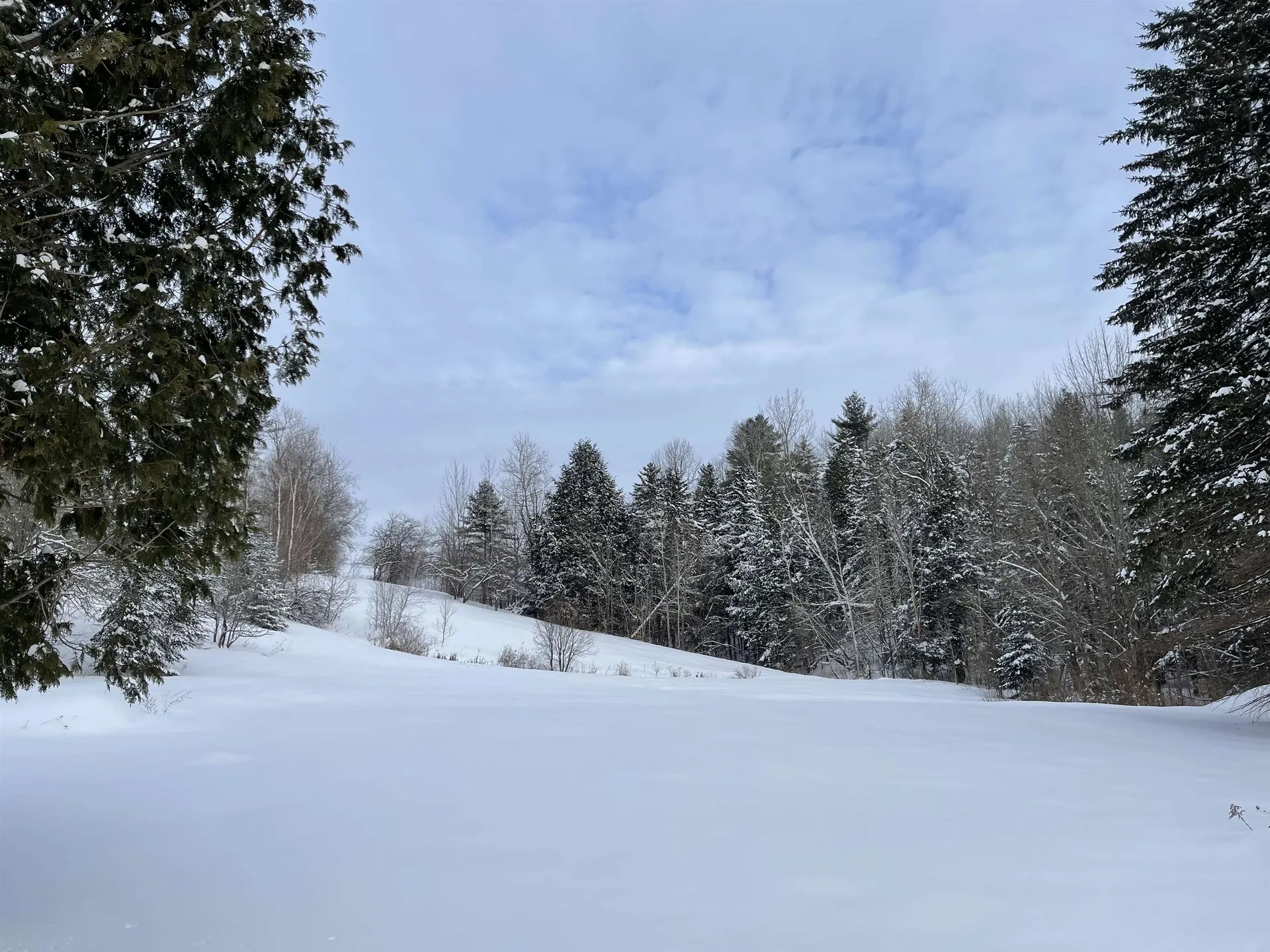 3003 East Warren Road Waitsfield VT 05673