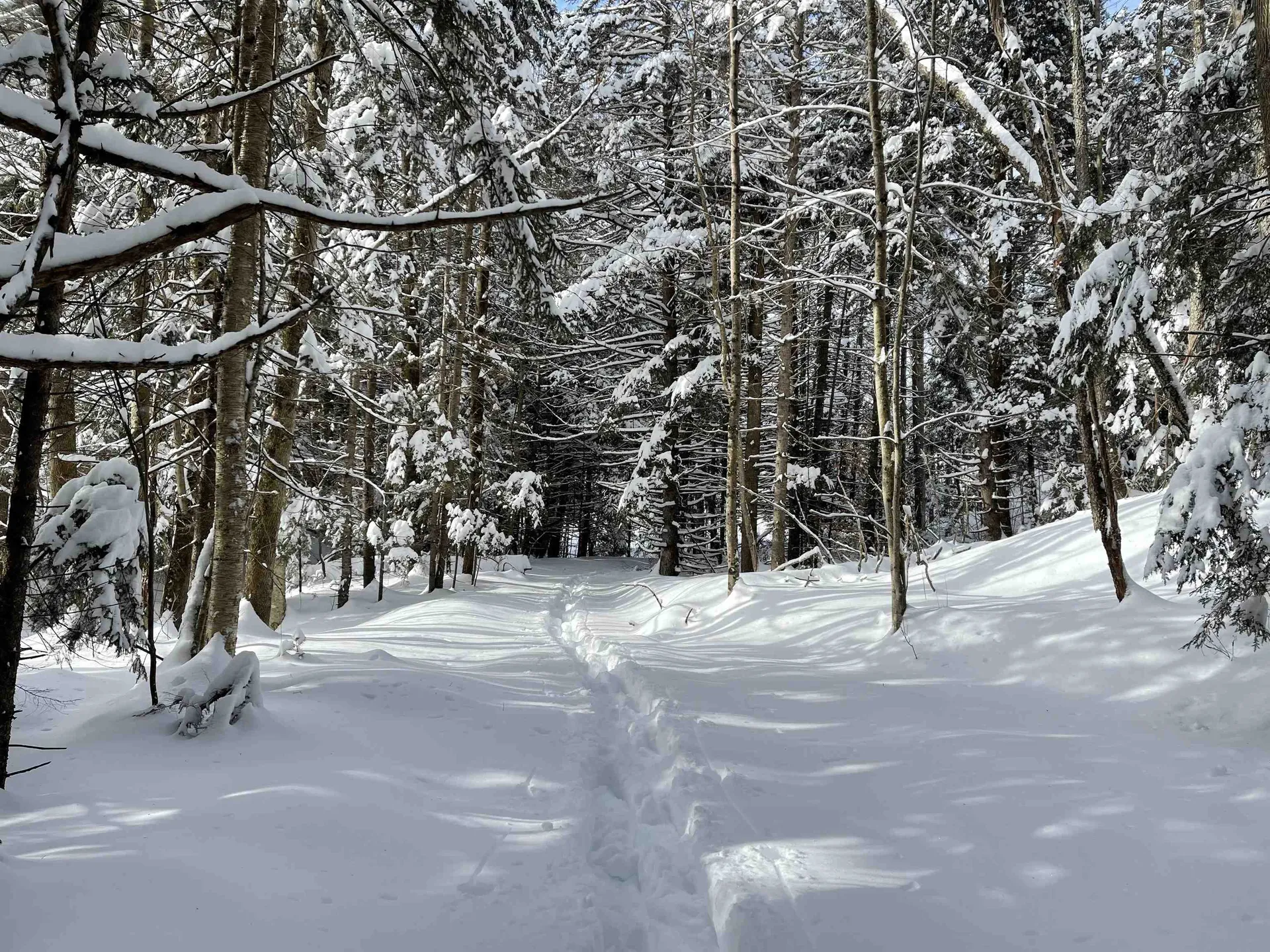 3003 East Warren Road Waitsfield VT 05673