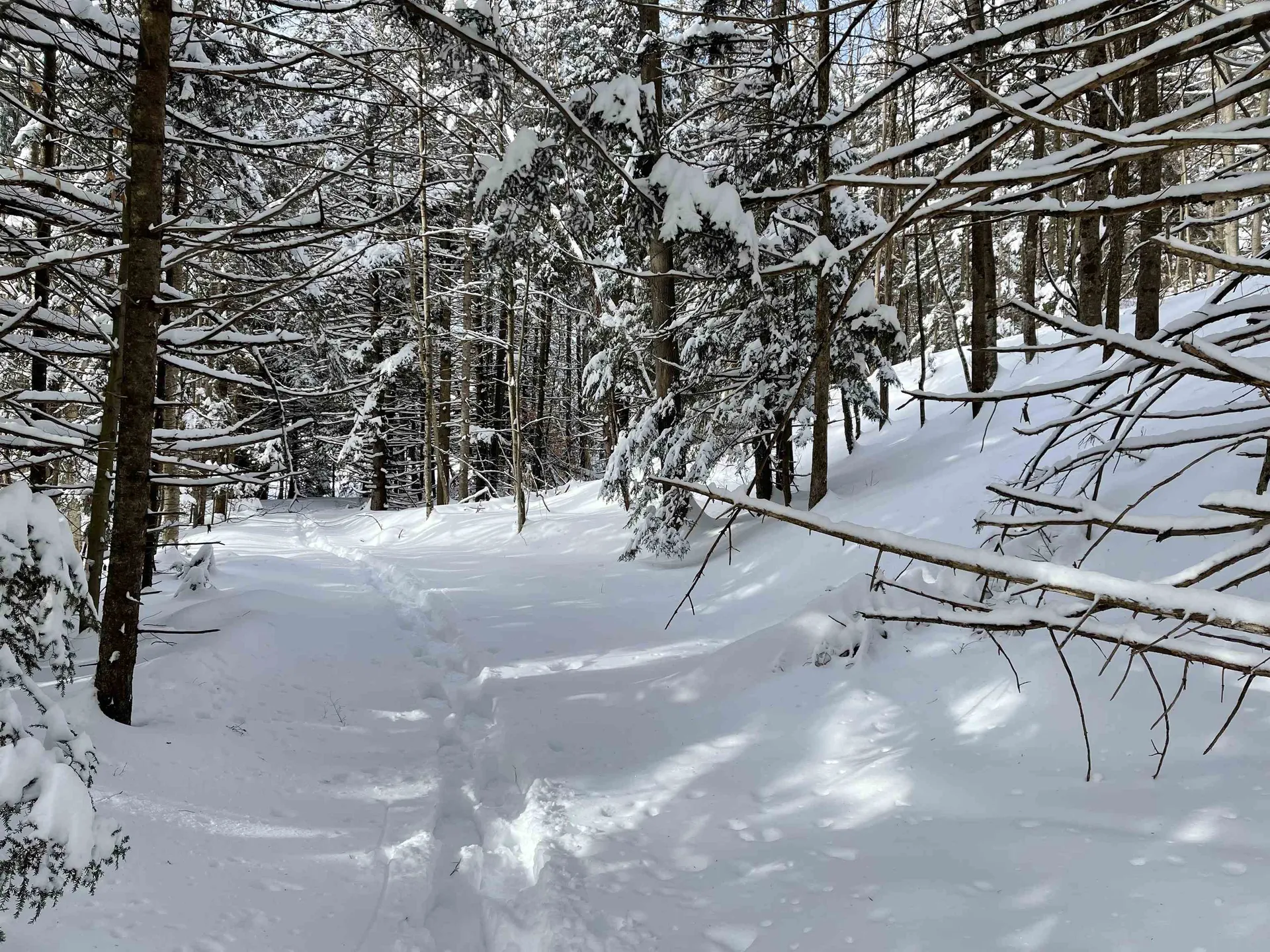 3003 East Warren Road Waitsfield VT 05673