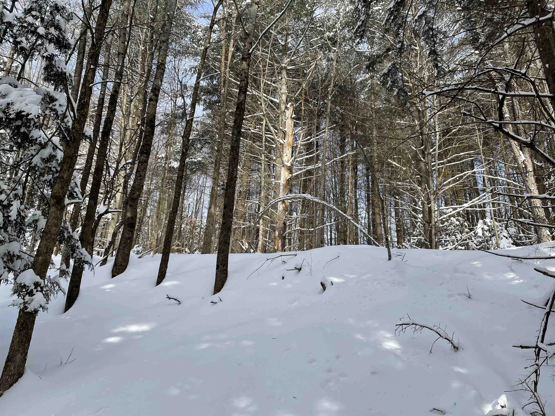 3003 East Warren Road Waitsfield VT 05673