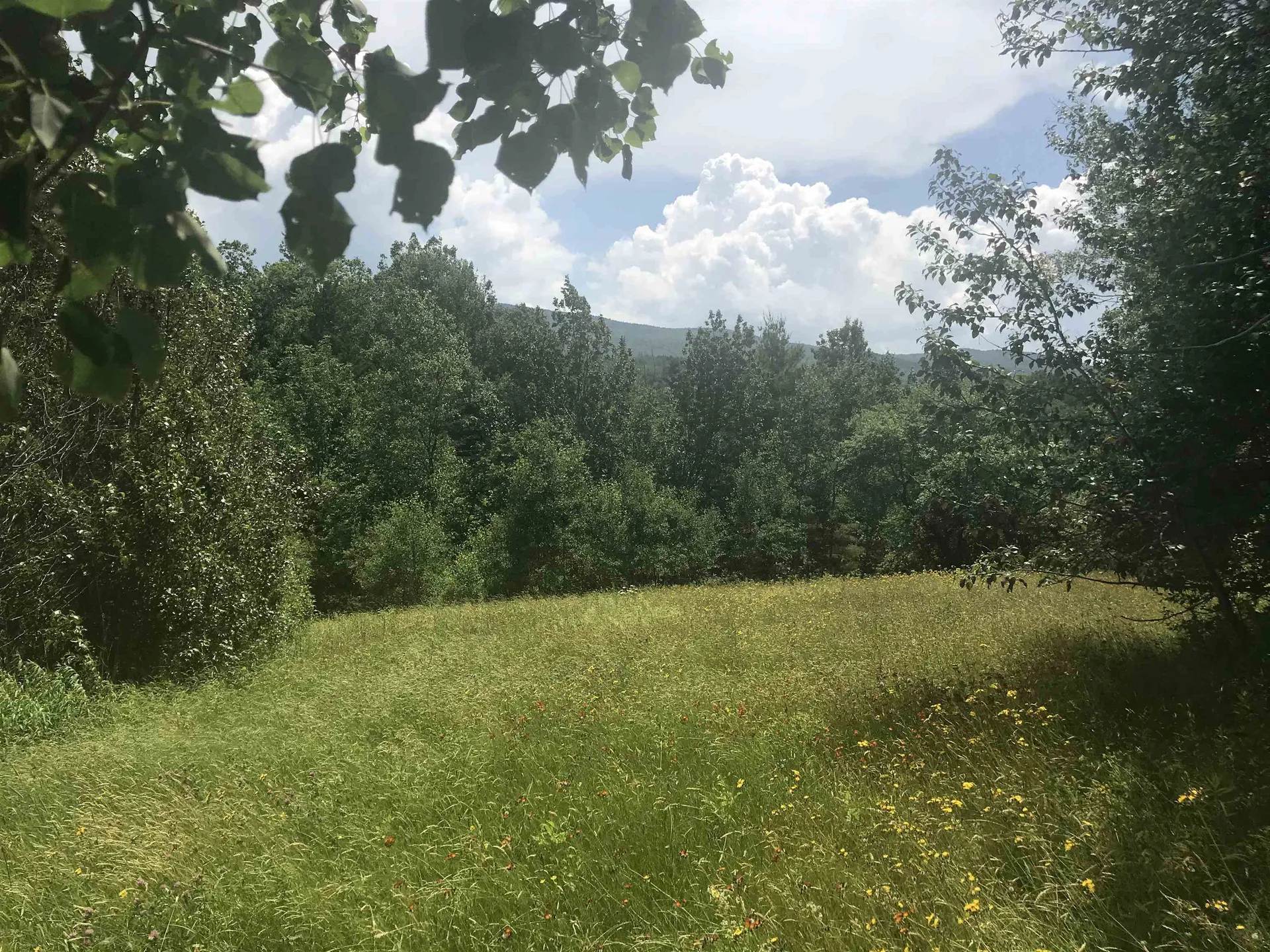 3003 East Warren Road Waitsfield VT 05673