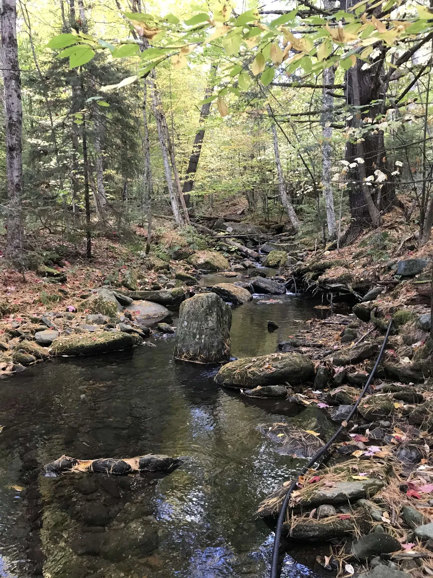 3003 East Warren Road Waitsfield VT 05673