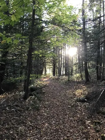 3003 East Warren Road Waitsfield VT 05673