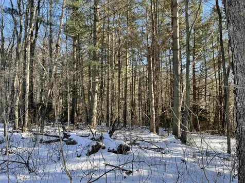 3003 East Warren Road Waitsfield VT 05673
