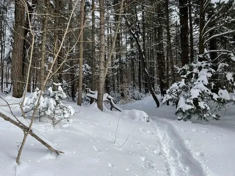 3003 East Warren Road Waitsfield VT 05673