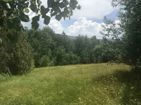 3003 East Warren Road Waitsfield VT 05673