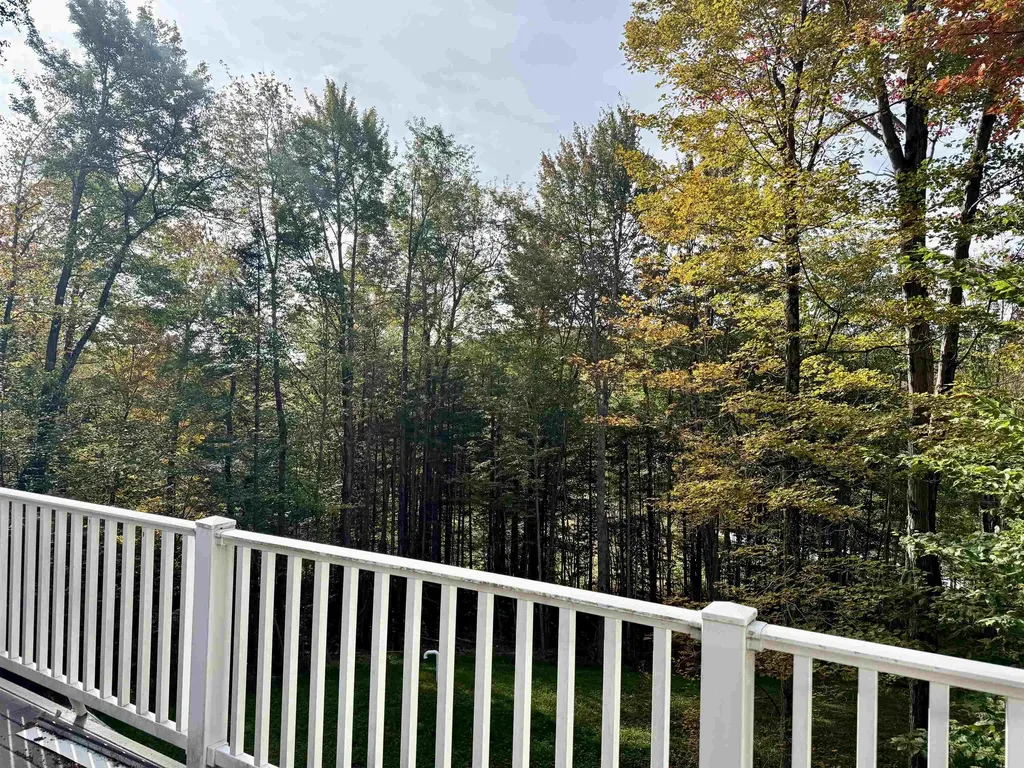 288 Cedar Lane Peru VT 05152