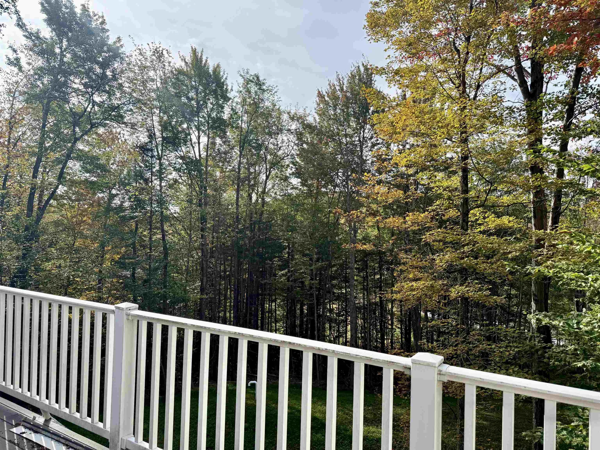 288 Cedar Lane Peru VT 05152