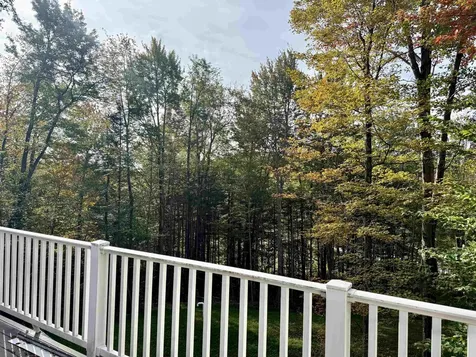 288 Cedar Lane Peru VT 05152