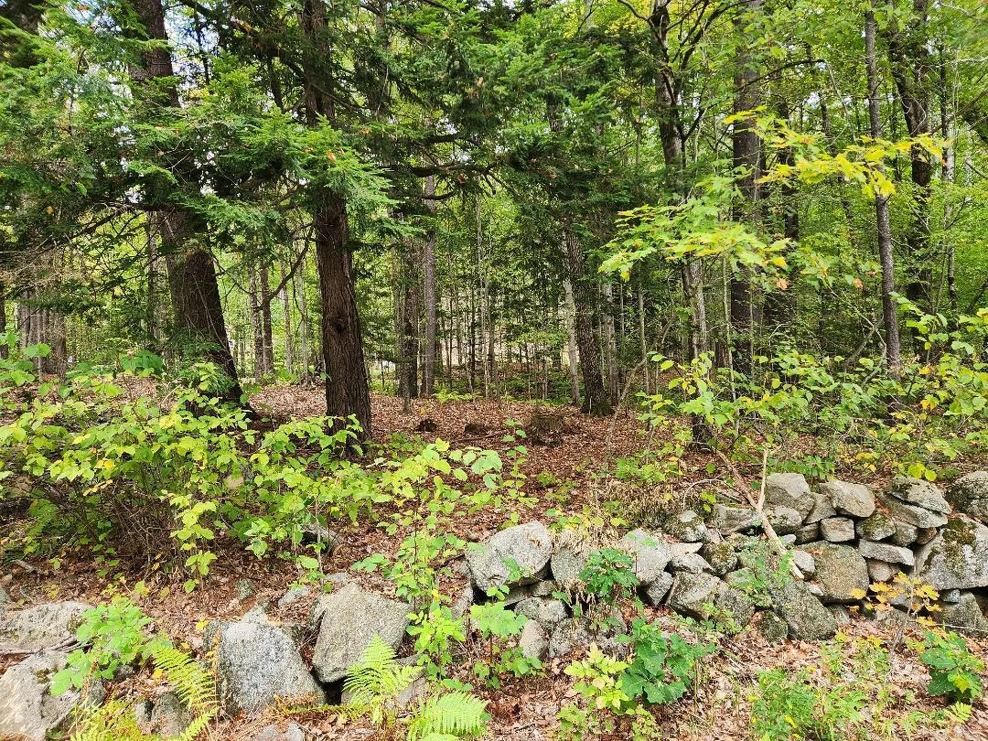 Lot 27-1 Old Walpole Road Keene NH 03431