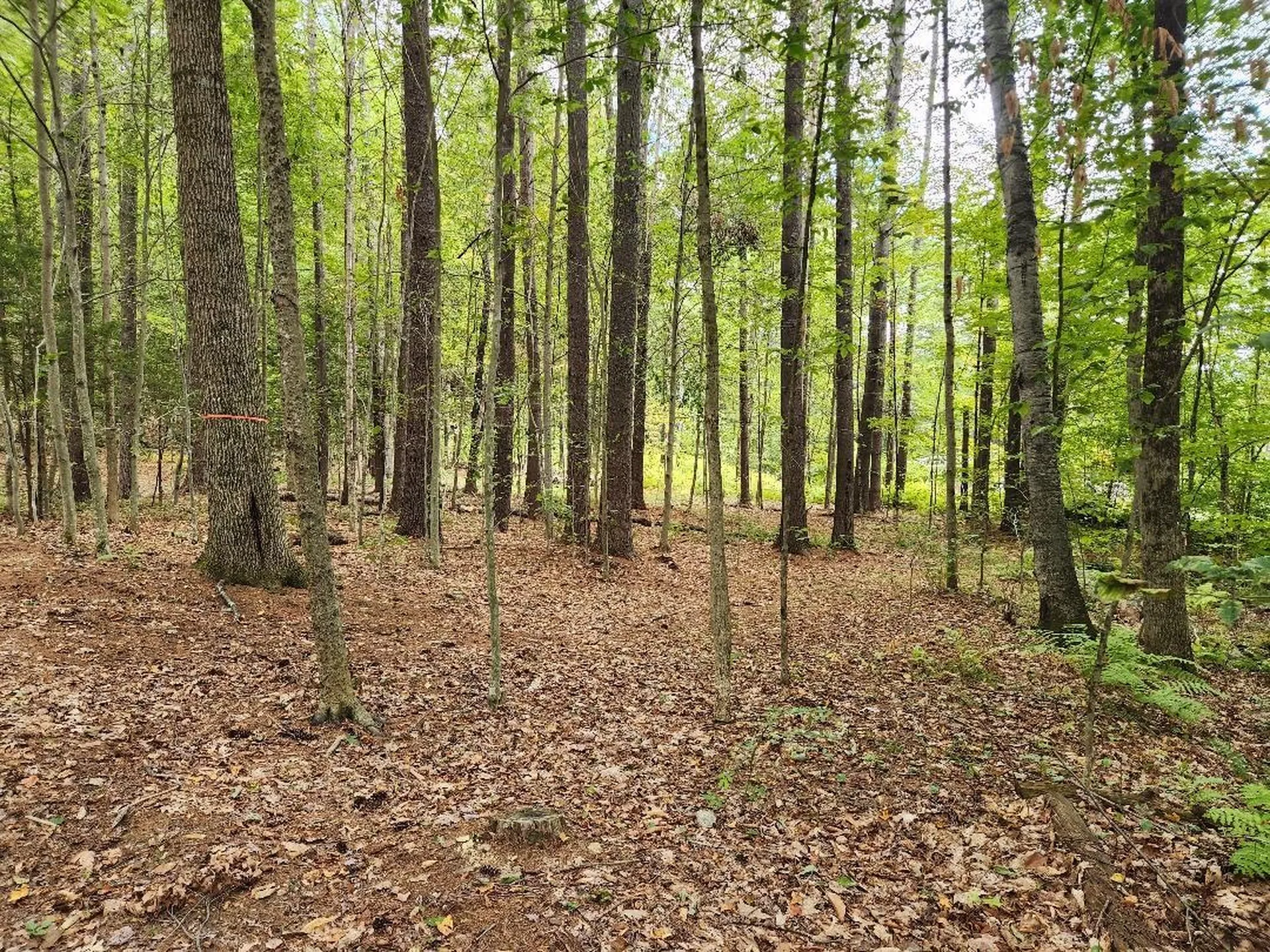 Lot 27-1 Old Walpole Road Keene NH 03431