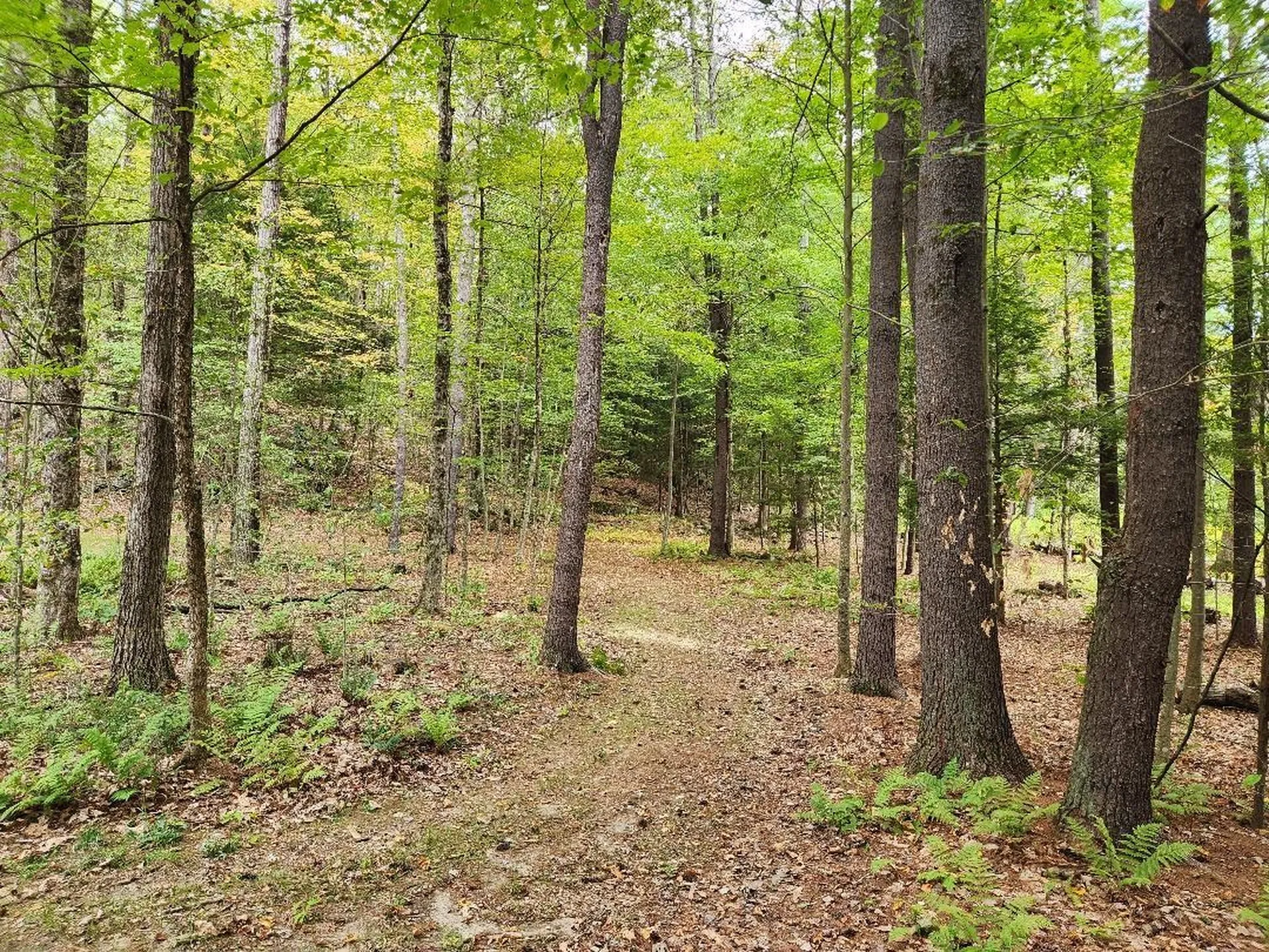 Lot 27-1 Old Walpole Road Keene NH 03431