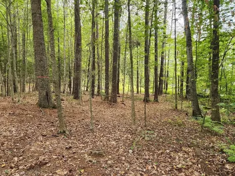 Lot 27-1 Old Walpole Road Keene NH 03431