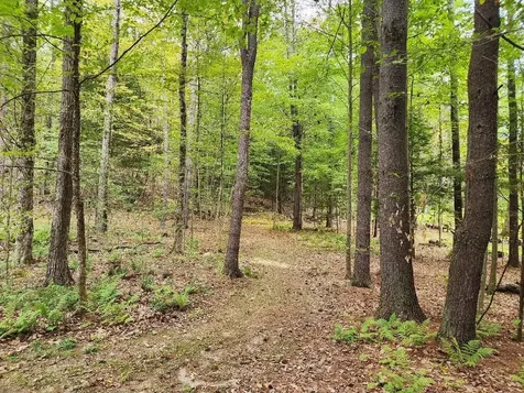 Lot 27-1 Old Walpole Road Keene NH 03431