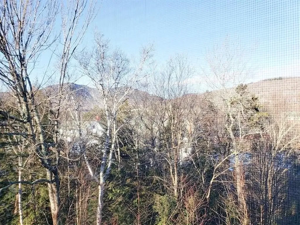 28 Packard's Road Waterville Valley NH 03215