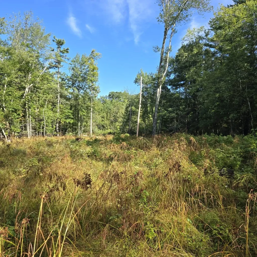 Nute Road Madbury NH 03023