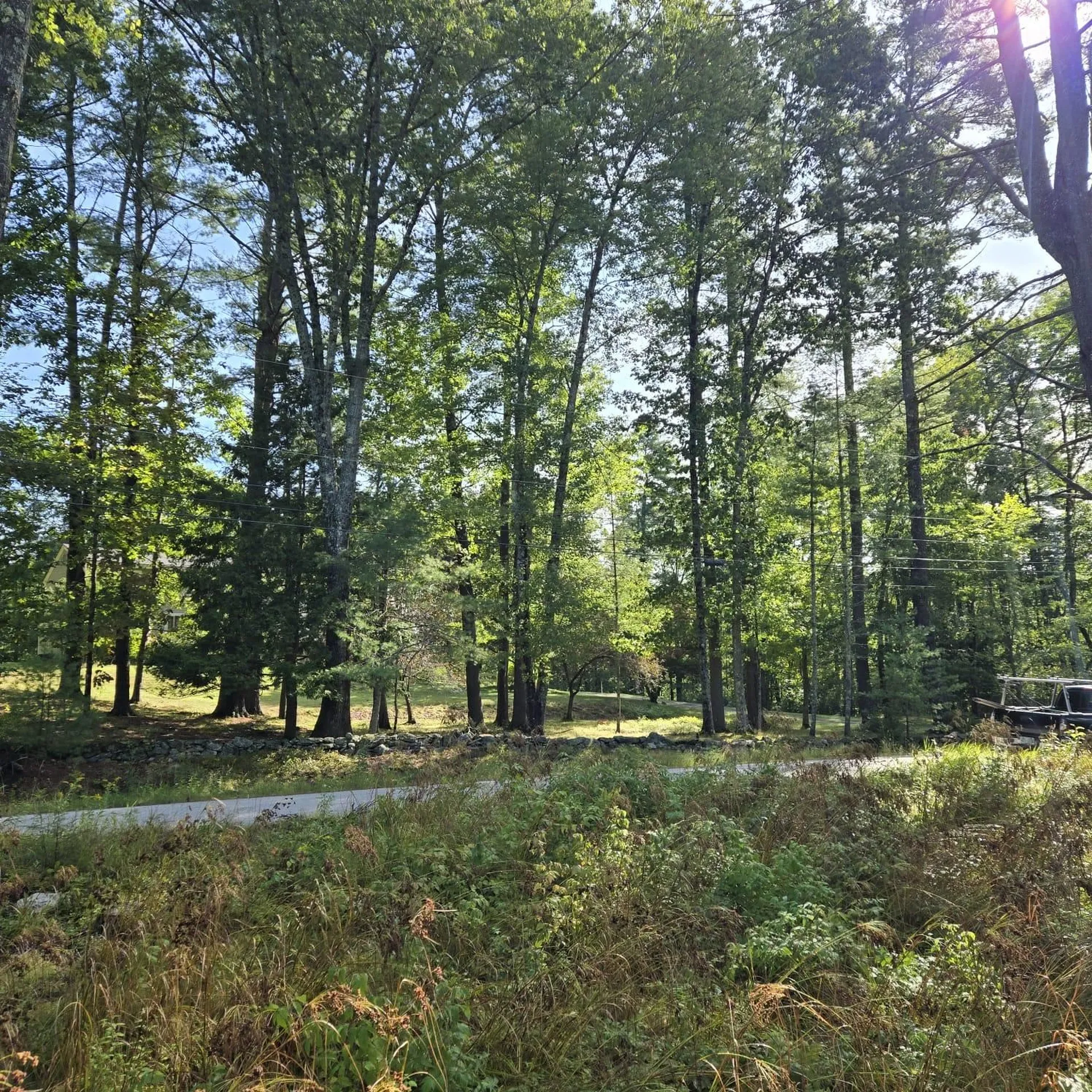 Nute Road Madbury NH 03023