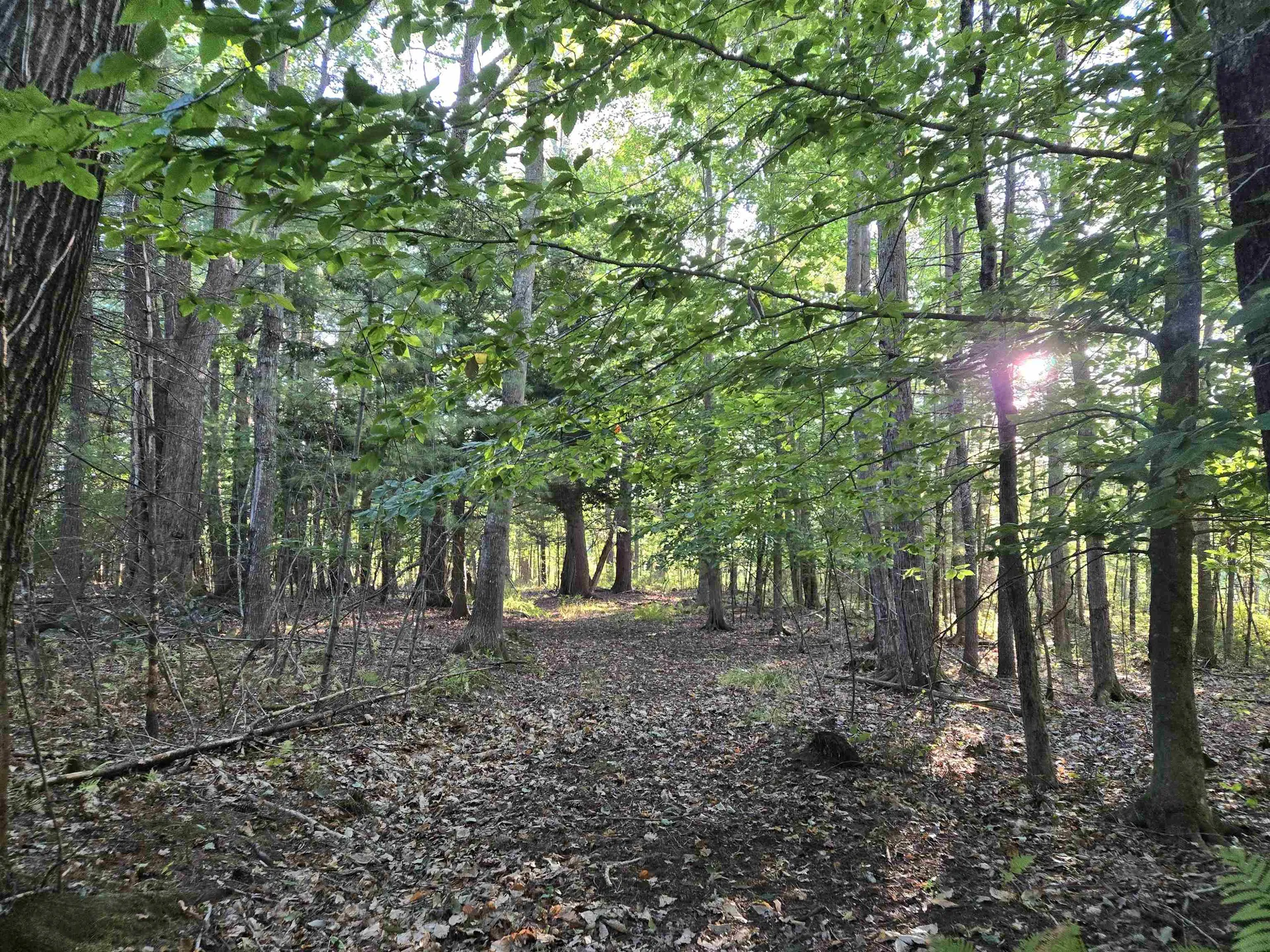 Nute Road Madbury NH 03023