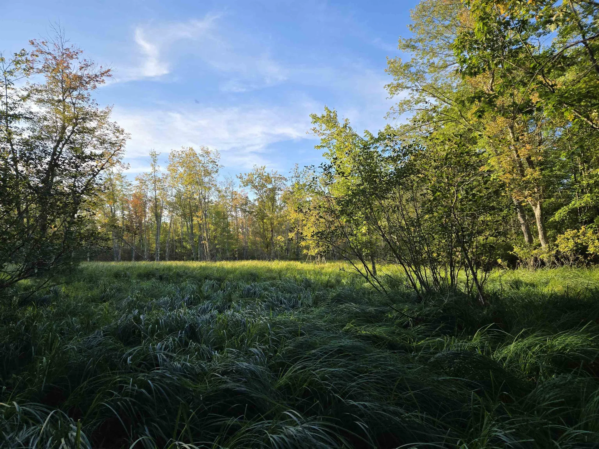 Nute Road Madbury NH 03023