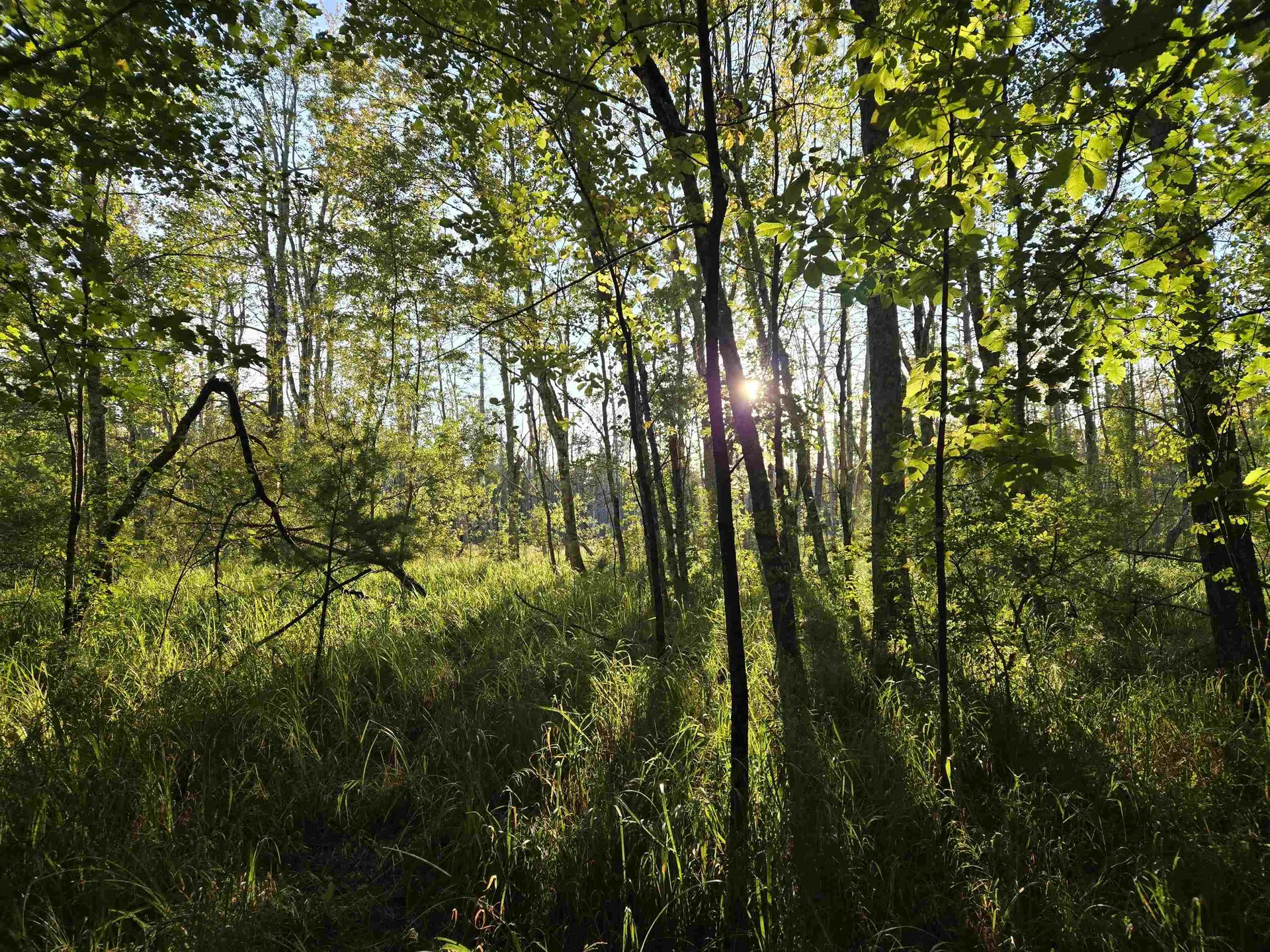 Nute Road Madbury NH 03023