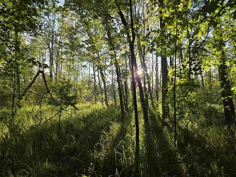 Nute Road Madbury NH 03023