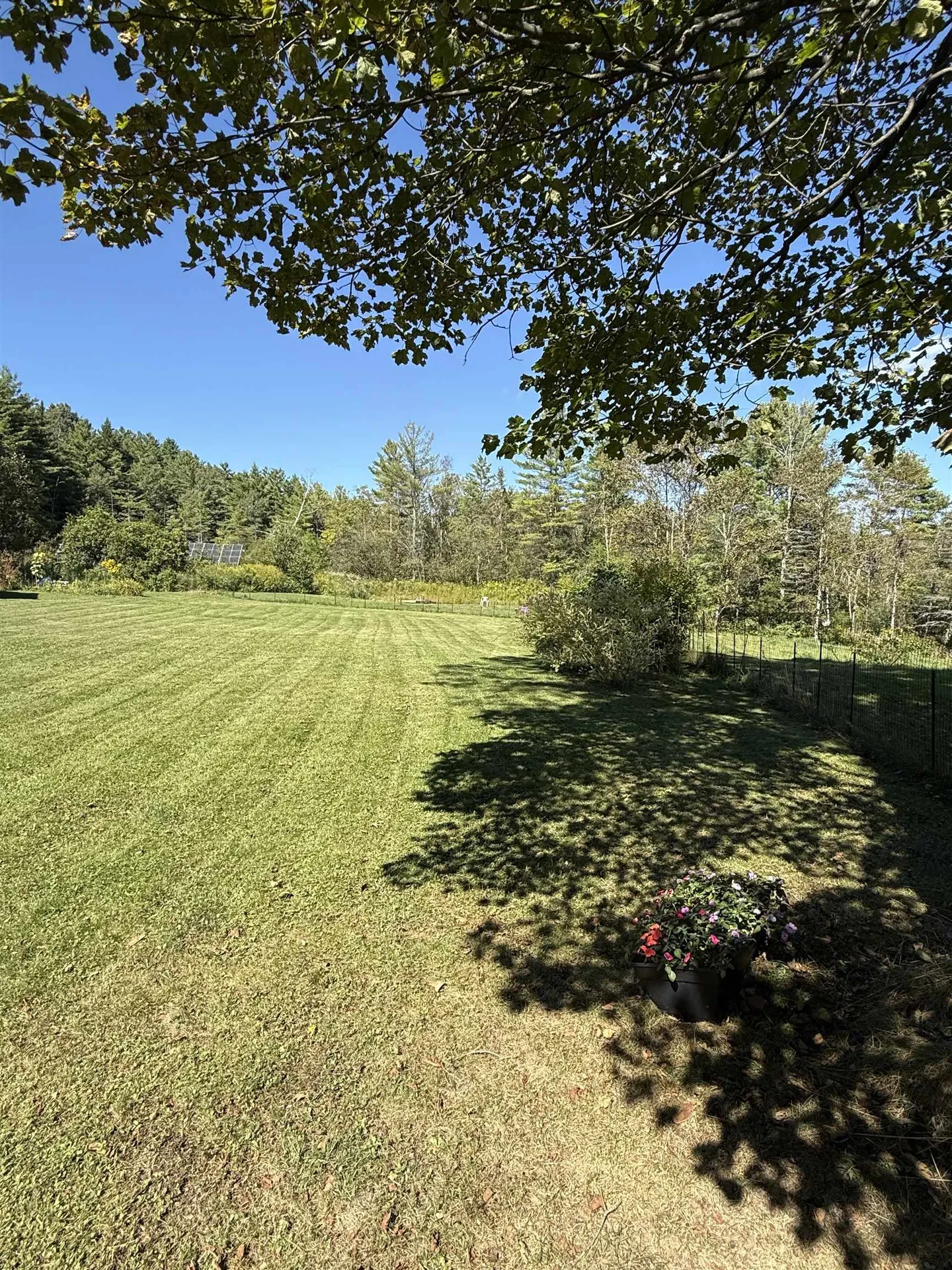 1153 Vt. Route 66 Randolph VT 05060