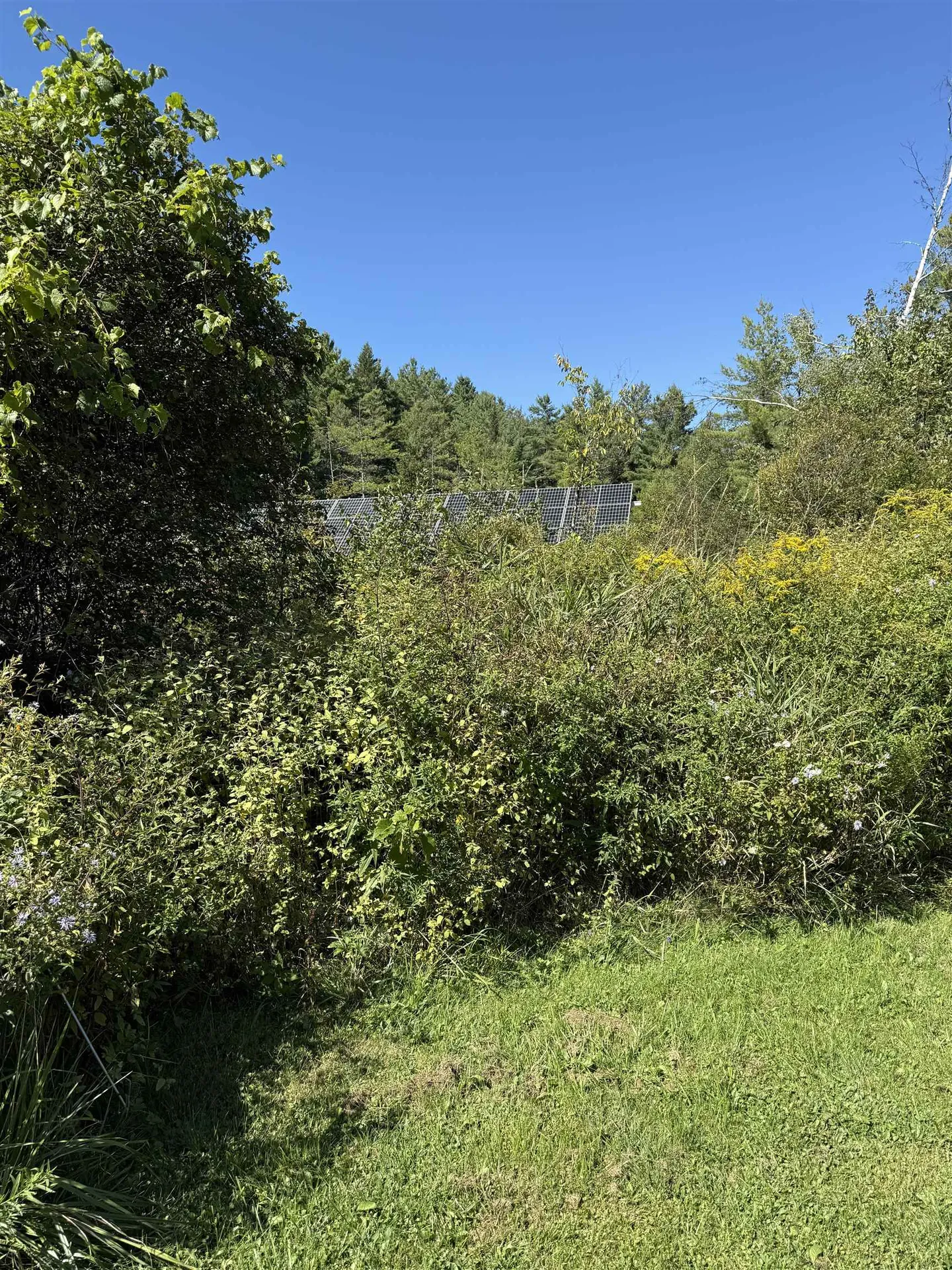 1153 Vt. Route 66 Randolph VT 05060