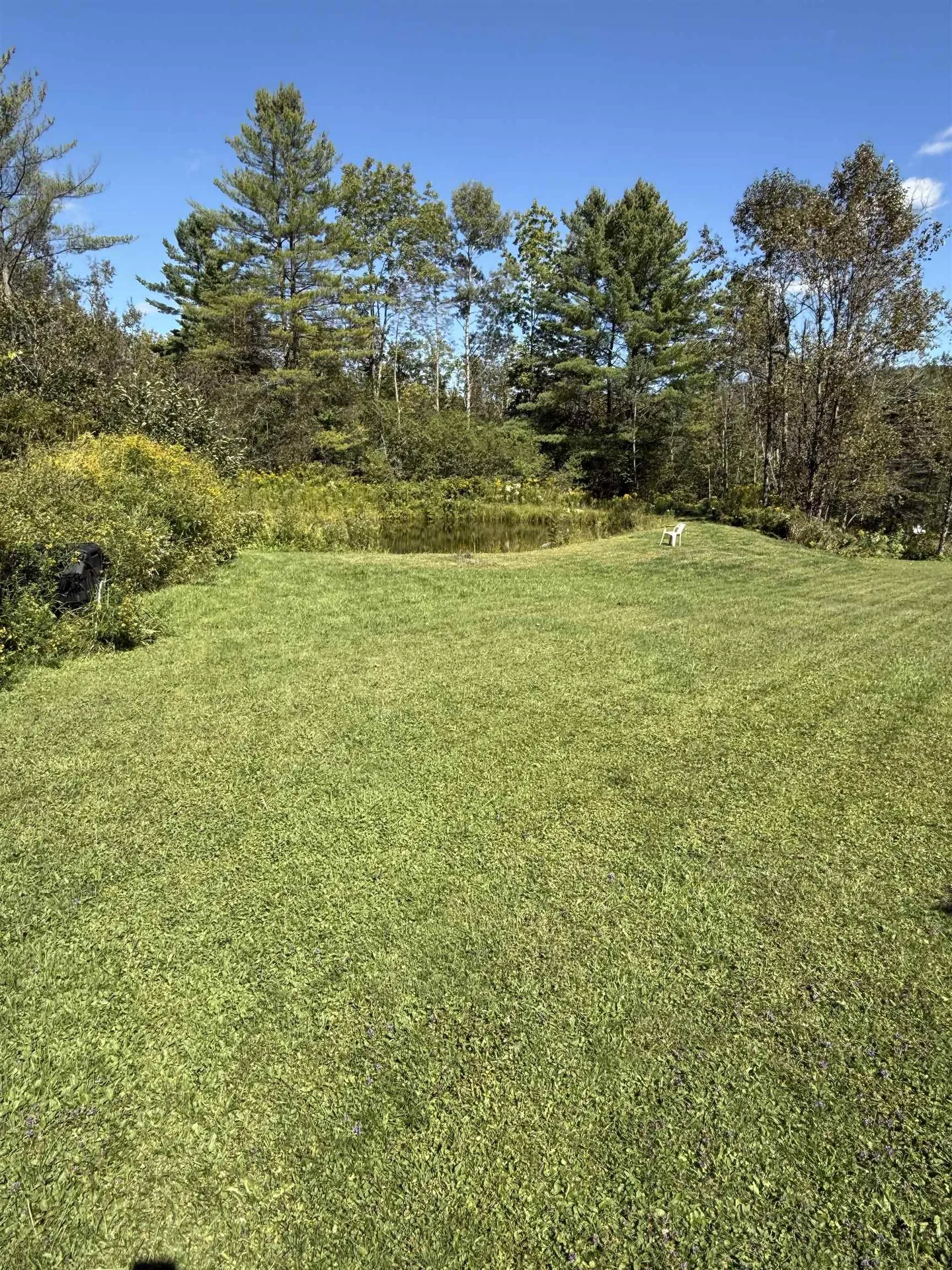 1153 Vt. Route 66 Randolph VT 05060