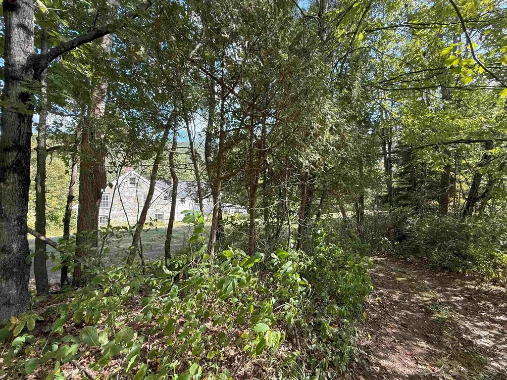 628 Townshend Road Grafton VT 05146