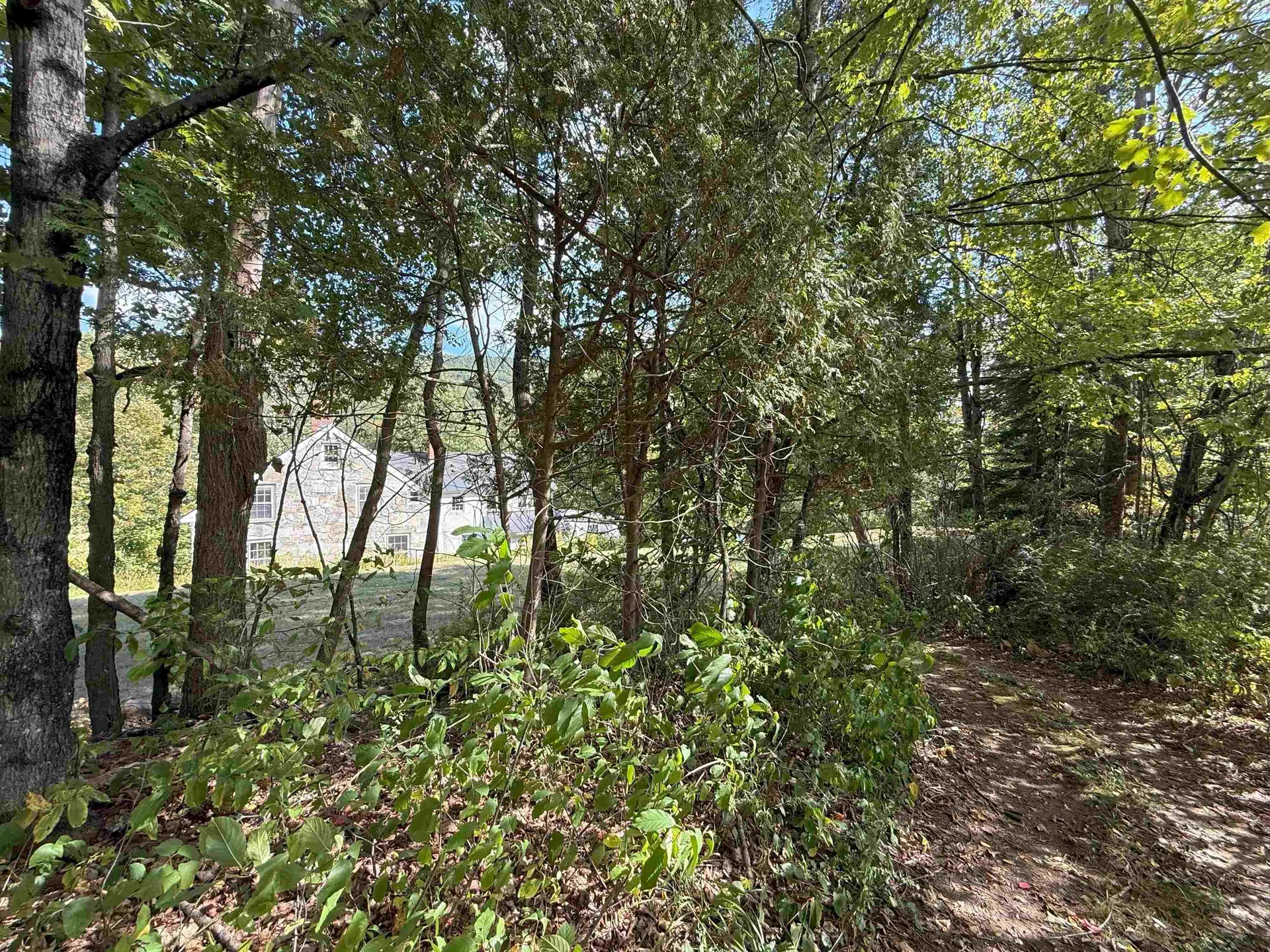 628 Townshend Road Grafton VT 05146