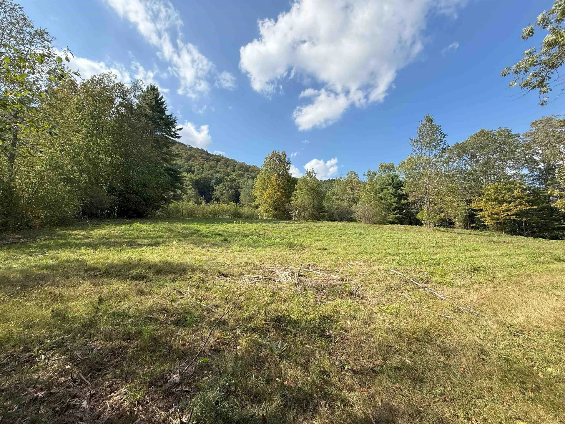 628 Townshend Road Grafton VT 05146