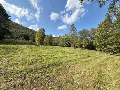 628 Townshend Road Grafton VT 05146