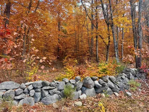 175 Molly Philbrick Road Effingham NH 03882