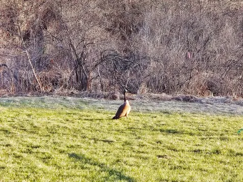 Lot 12-13 Paradis Lane Bakersfield VT 05450