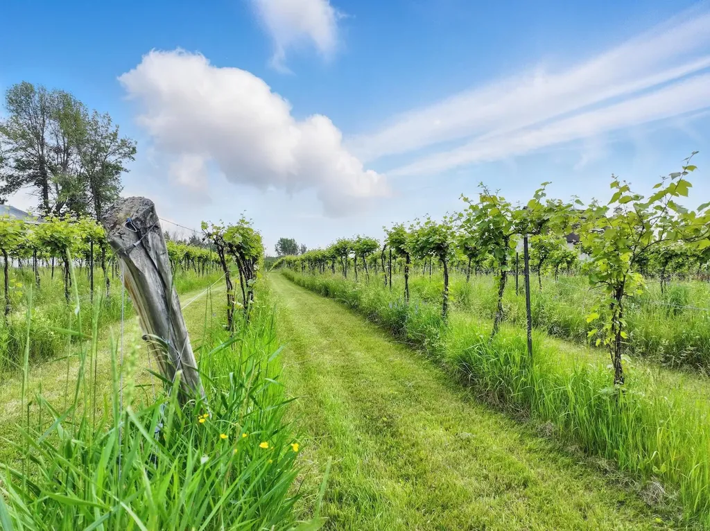 85 Shrine Road Isle La Motte VT 05463