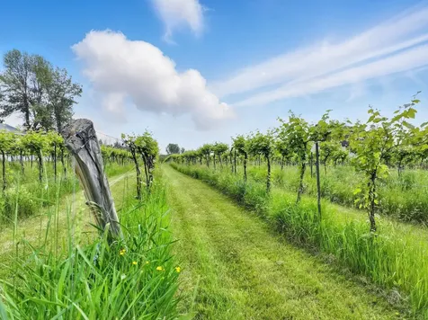 85 Shrine Road Isle La Motte VT 05463