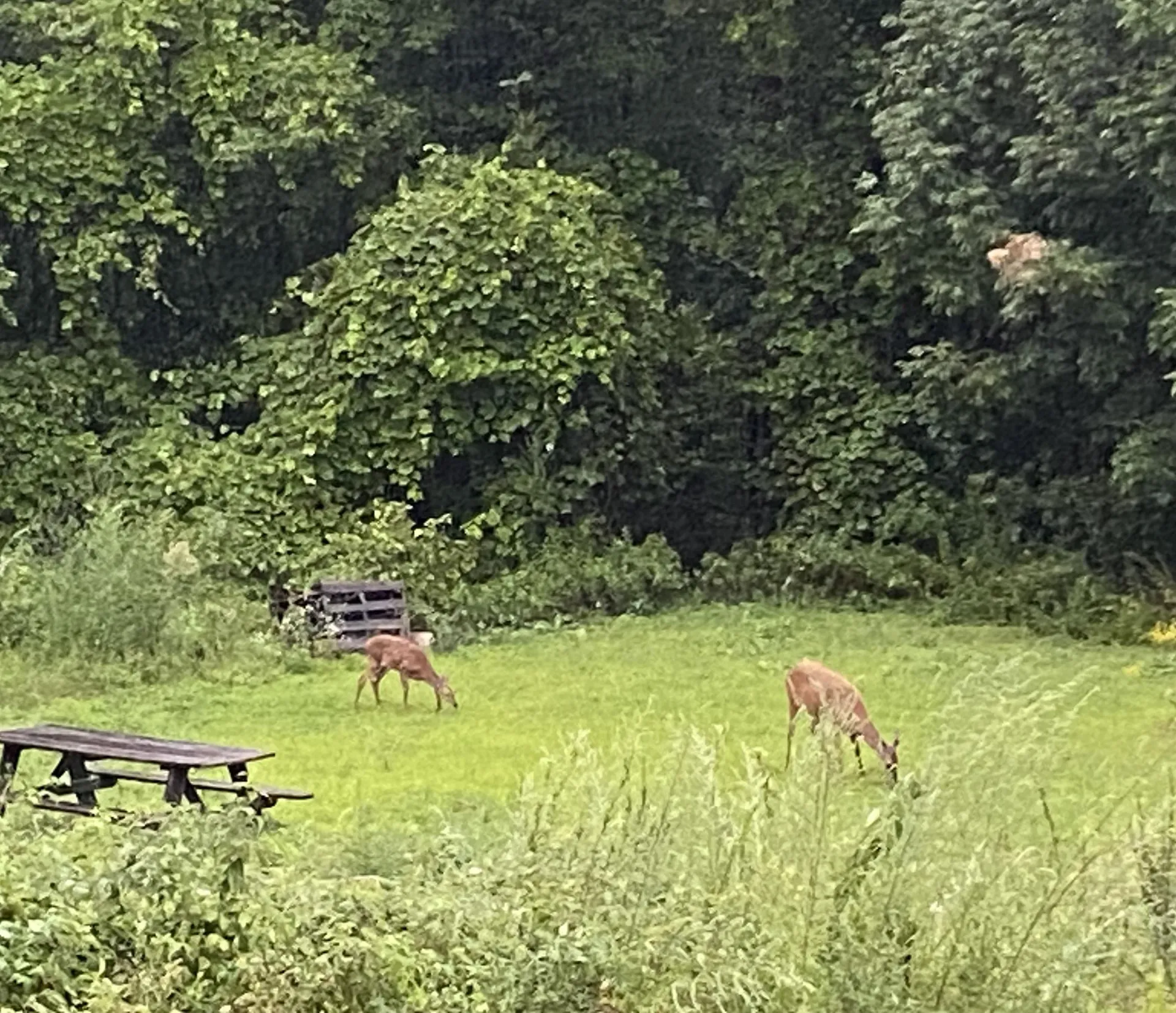 171 Berry Road New Durham NH 03855