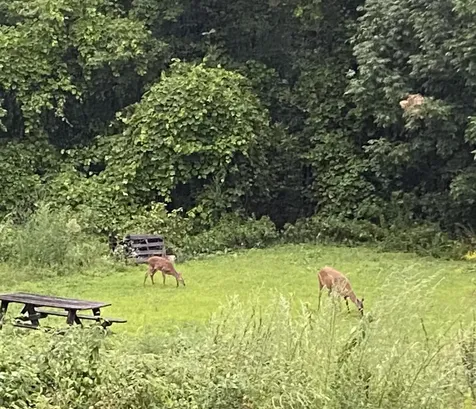 171 Berry Road New Durham NH 03855