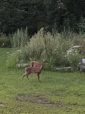 171 Berry Road New Durham NH 03855