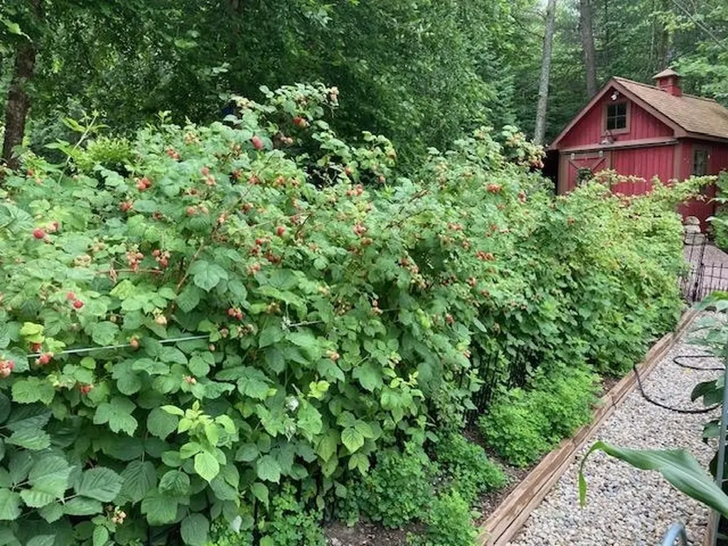 267 South Cove Road Burlington VT 05401