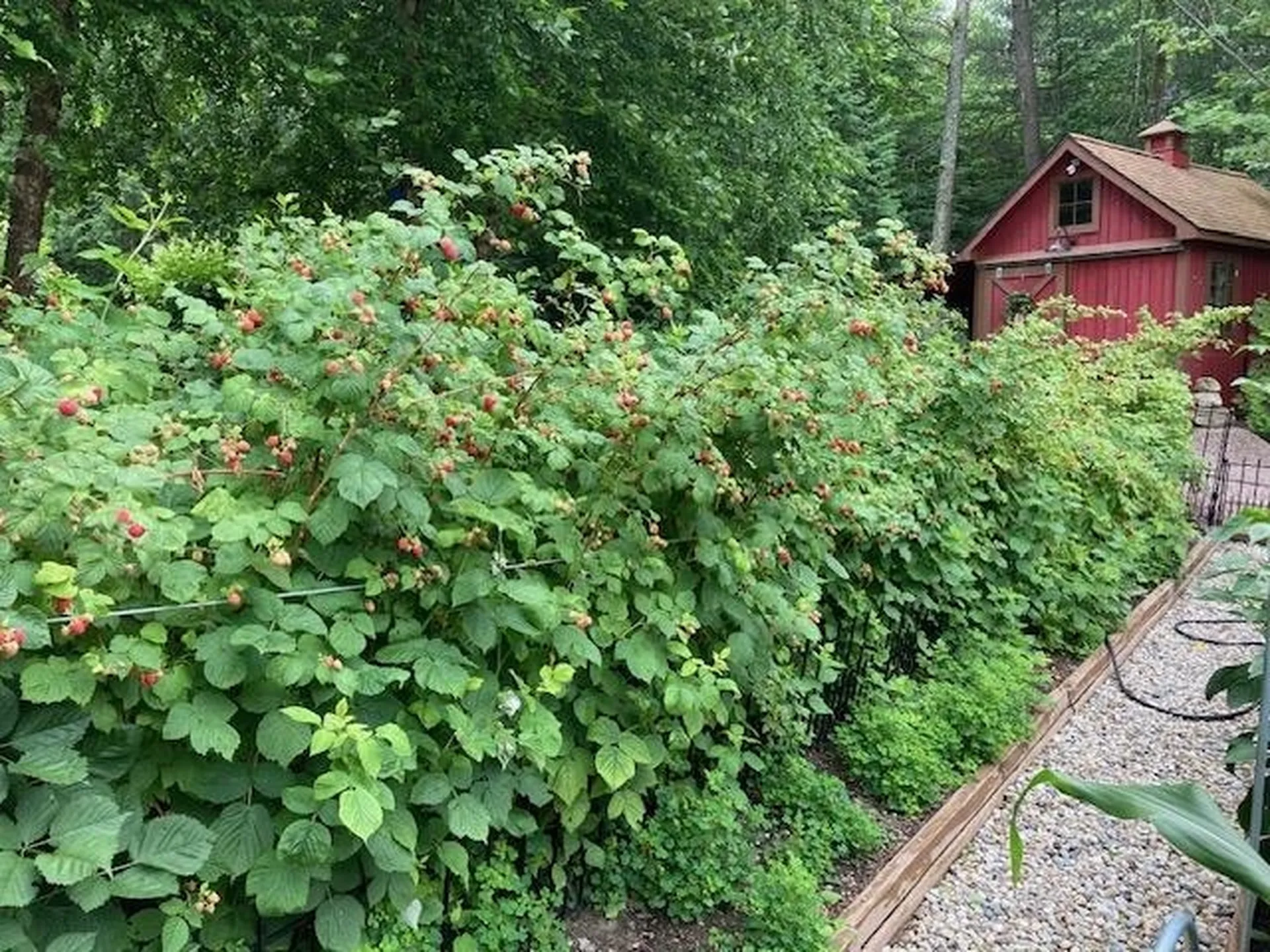 267 South Cove Road Burlington VT 05401