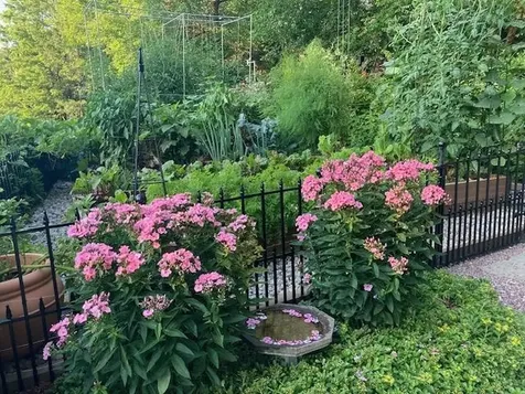 267 South Cove Road Burlington VT 05401