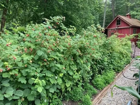 267 South Cove Road Burlington VT 05401